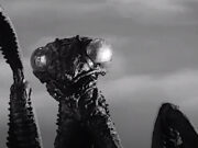 La Mantide Omicida (1957) La Mantide Omicida (The Deadly Mantis) 1957