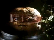 Fratello dello Spazio (1988) di Mario Gariazzo (Roy Garrett) Fratello dello spazio 1988