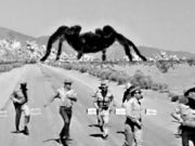 Tarantola (1955) di Jack Arnold Trantola (Tarantula!) 1955
