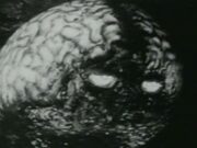 The Brain from Planet Arous (1957) The Brain from Planet Arous 1957