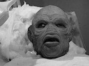 Il terrore sul mondo (1956) Il terrore sul mondo (The Creature Walks Among Us) 1956