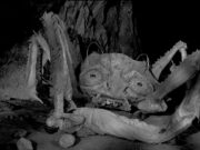 L’assalto dei granchi giganti (1956) di Roger Corman L'assalto dei granchi giganti (Attack of the Crab Monsters) 1956