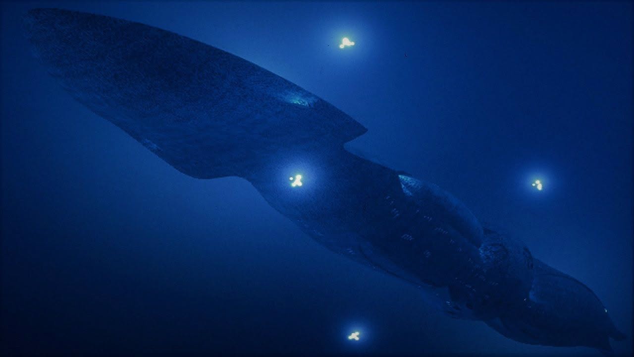 SeaQuest - Odissea negli abissi (1993-1996) serie TV