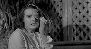 La Maledizione della Mosca 1965