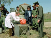 Pomodori assassini (1978) L'attacco dei pomodori assassini (1978)