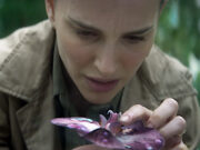 Annientamento (2018) Annihilation 2018