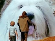 Tobia il cane più grande che ci sia (1973) Digby, the Biggest Dog in the World 1973