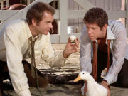 Un papero da un milione di dollari (1971) The Million Dollar Duck