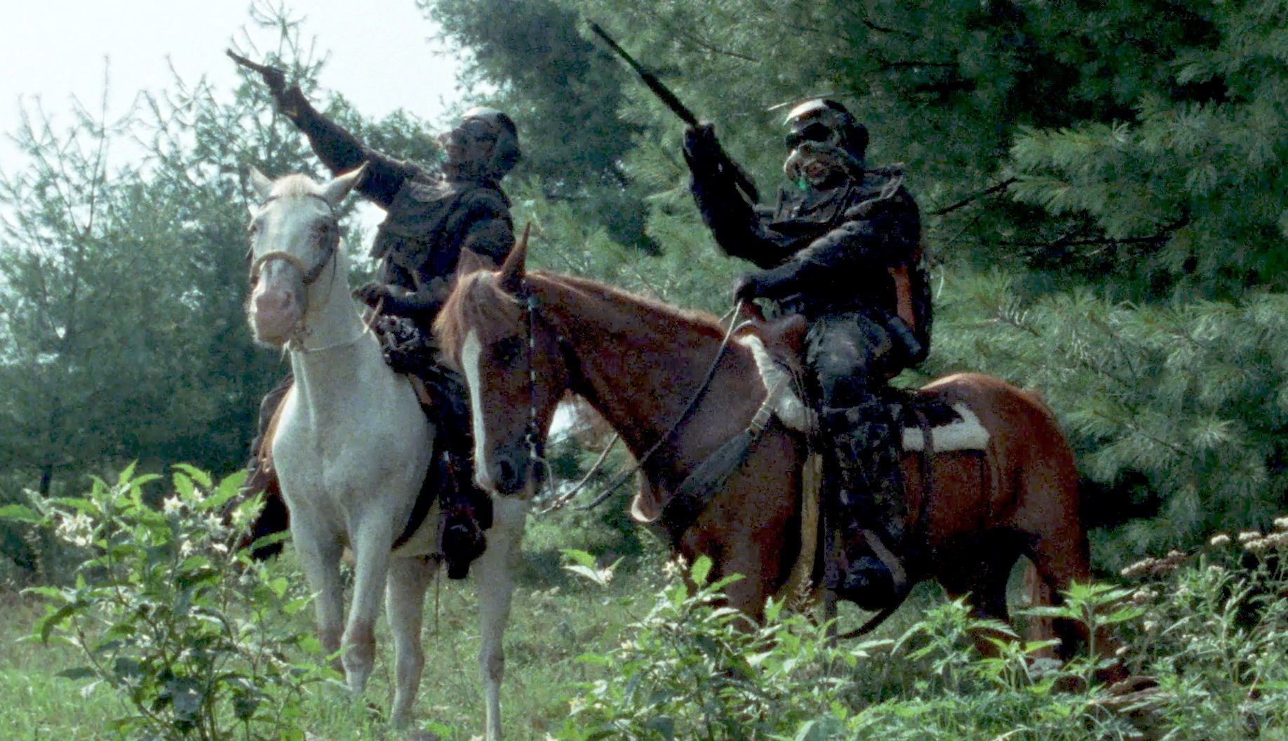 Alien Outlaw (1985)