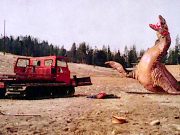The Crater Lake Monster (1977) con la stop-motion di Phill Tippett The Crater Lake Monster (1977)