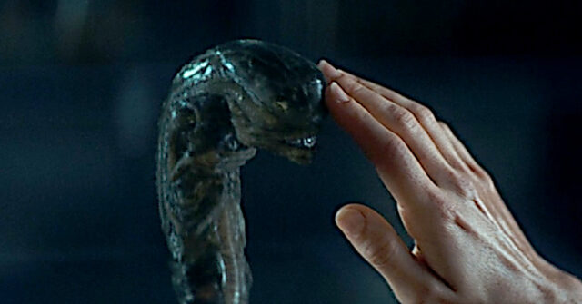Alien pianeta Terra - Alien Earth 2025